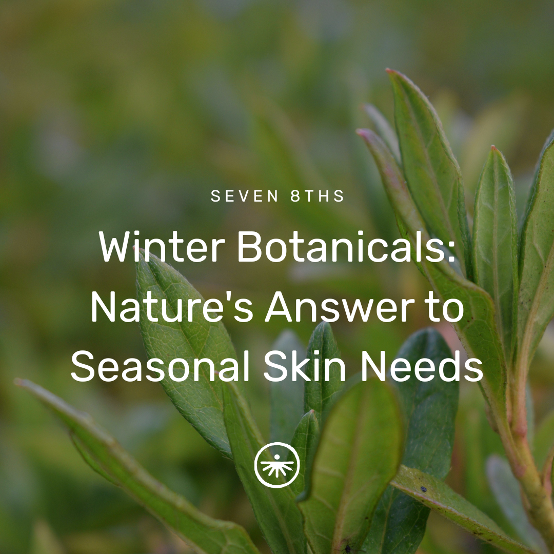 Winter Botanicals: Nature's Answer to Seasonal Skin Needs